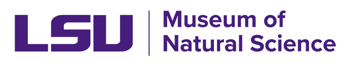 LSU Museum of Natural Science Logo
